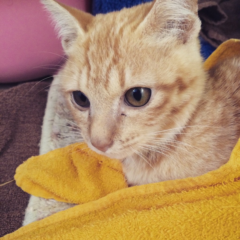 急にうんちもらす