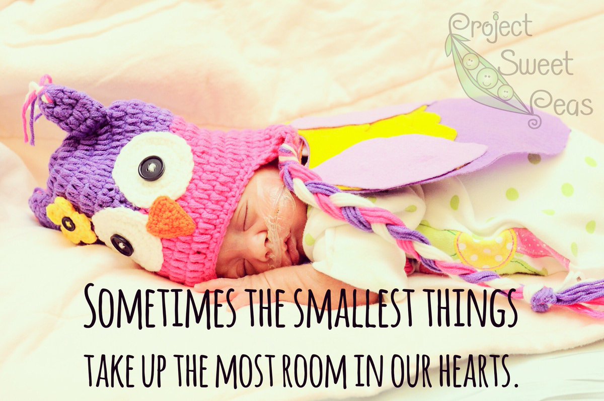 ProjectSweetPea's tweet photo. Sometimes the smallest things take up the most room in our hearts. https://t.co/DCwFV2kK0L