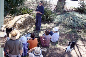 SEE-Change workshop on composting. Inner North. 4 March 2017. 10am-3pm.  see-change.org.au/event/compost-…