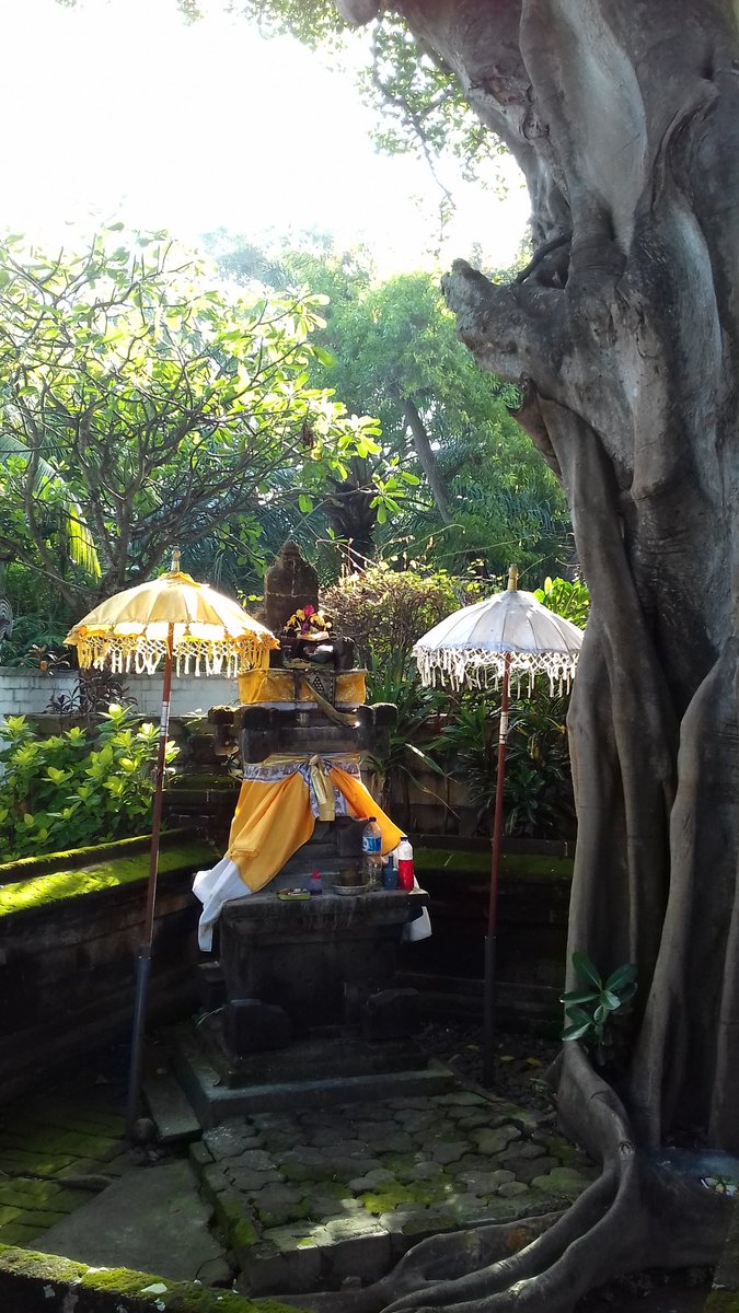 bless_photo's tweet photo. 爽やかな朝ですね。本日は朝の挙式です!気持ち���い! #bali #kuta #majoly #バリ https://t.co/IRbN2W43F1