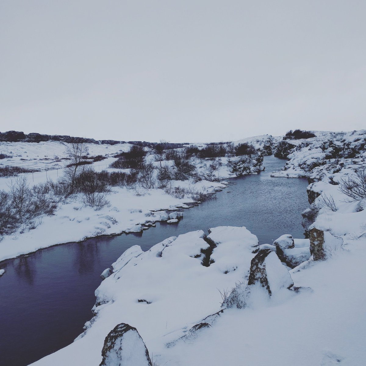 Been a nice day with 90 guests from all over the world thanks and until next time! #dcnlights #takk