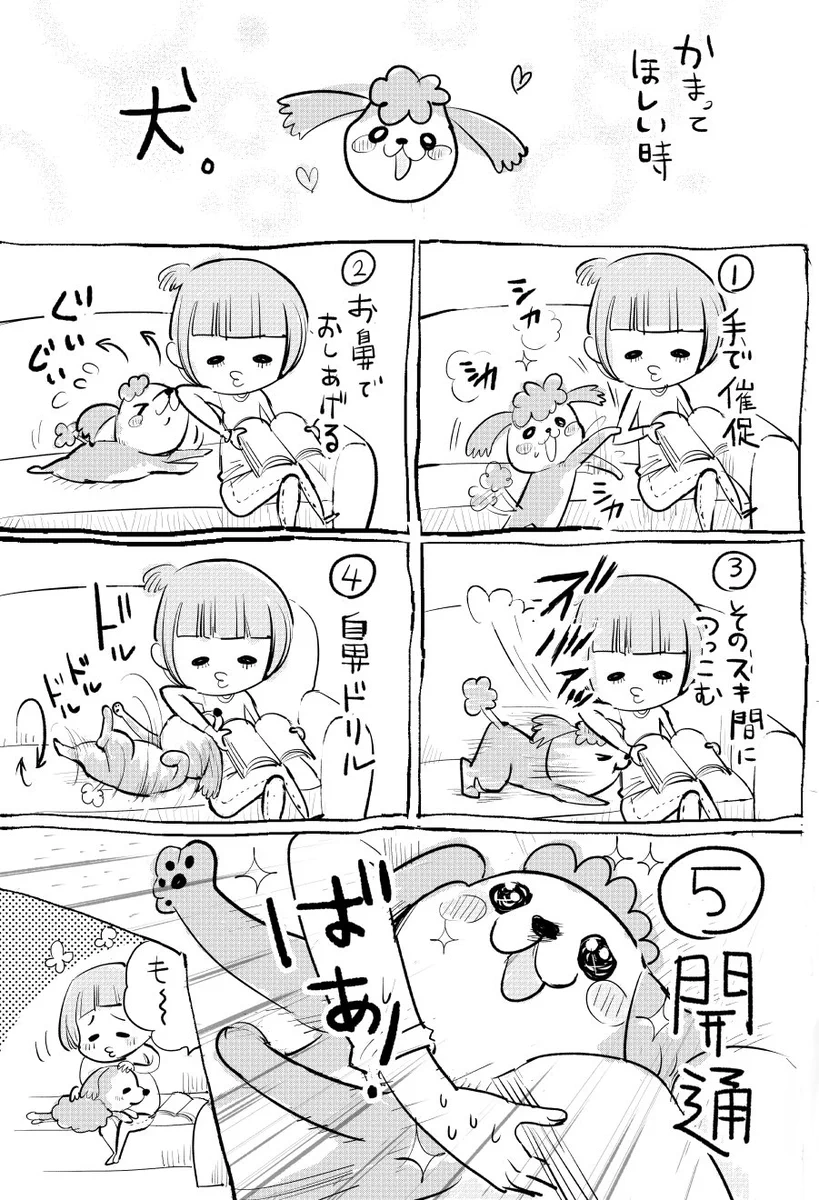 だって構って欲しいんだもん♡犬猫飼ってると毎日楽しめる両者の違いがこれwww