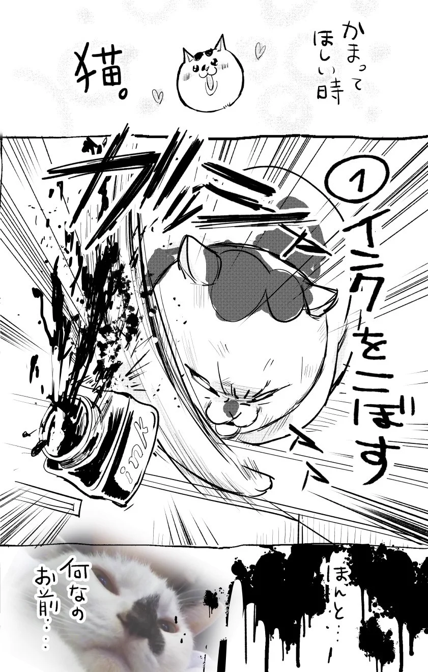 だって構って欲しいんだもん♡犬猫飼ってると毎日楽しめる両者の違いがこれwww