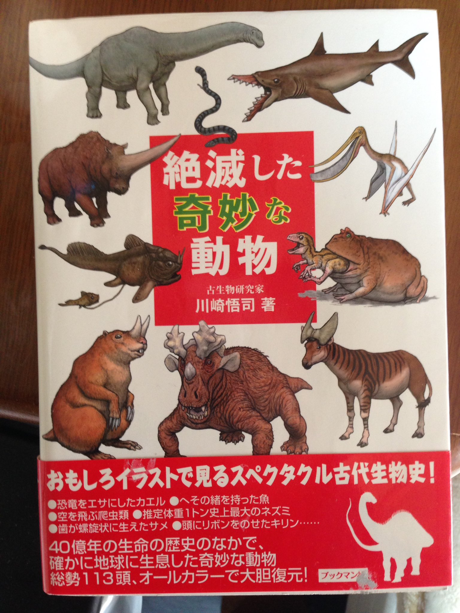 もりのほん 昨日整理してて発掘したこの本 生物のサイズ比として何故か美女を置いてるところが好き T Co Fqkwyrx5r7 Twitter