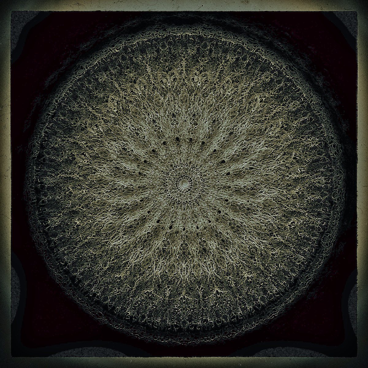 Arhaton's tweet photo. Jenseits des Seiendes #planar #MandelaEffect  #mandala https://t.co/kbxAy8ERgl