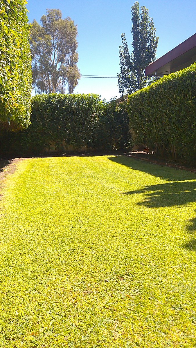 wombatknackers's tweet photo. Lawn is looking on point. You get out  what u put in with @MunnsLawn much like life ! https://t.co/k8st0qAgKP