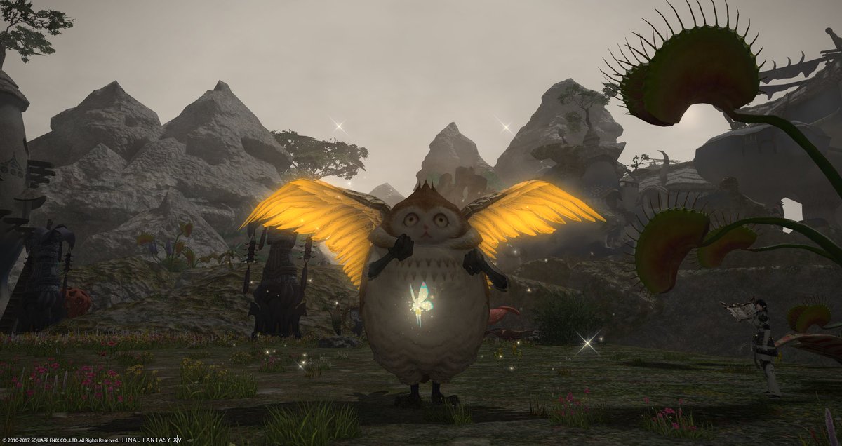 Seilan 復活の似非エンジェ 鳥猿だけに 協力 ゴッデスラナー