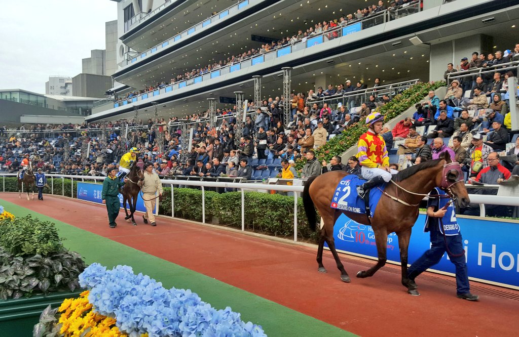 AndrewNJHawkins's tweet photo. Two grand warriors flank the new kid on the block, so to speak. Designs On Rome, Werther, Blazing Speed #HKRacing https://t.co/7lUeNWoEL6