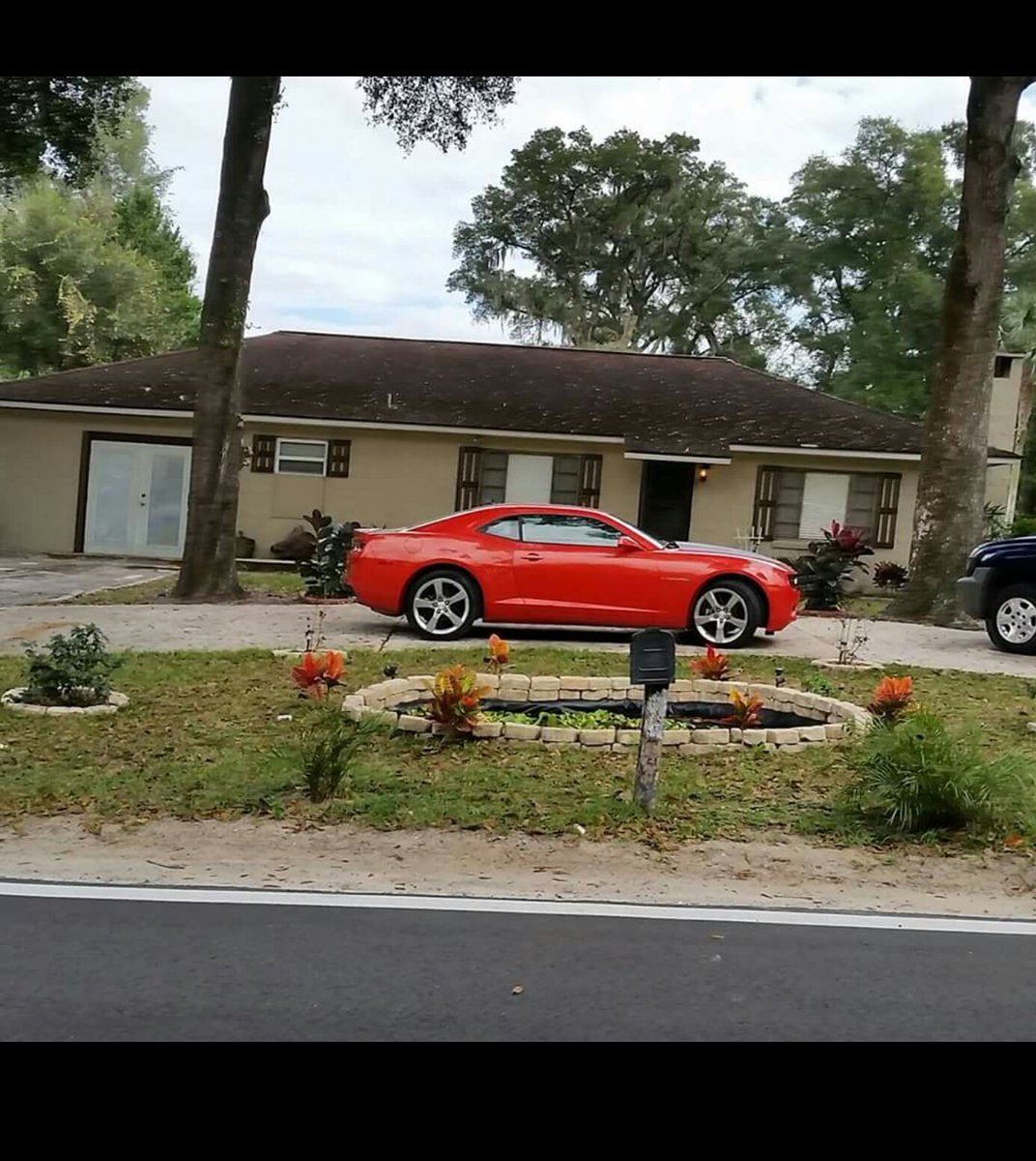 B&M Tree Removal (BnMTreeRemoval) Twitter