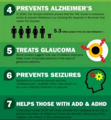 packagingbros's tweet photo. If you need reasons...
#packagingbrothers #packaging #cannabisindustry #topshelf #cannabis #marijuana #trimming #port https://t.co/Lz7RiMMZiB