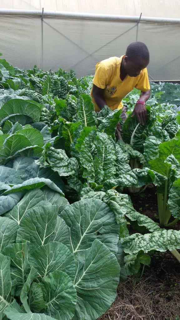 Mr. Agriculture 👩🌾 tweet media