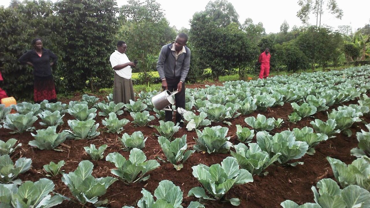 Mr. Agriculture 👩🌾 tweet media