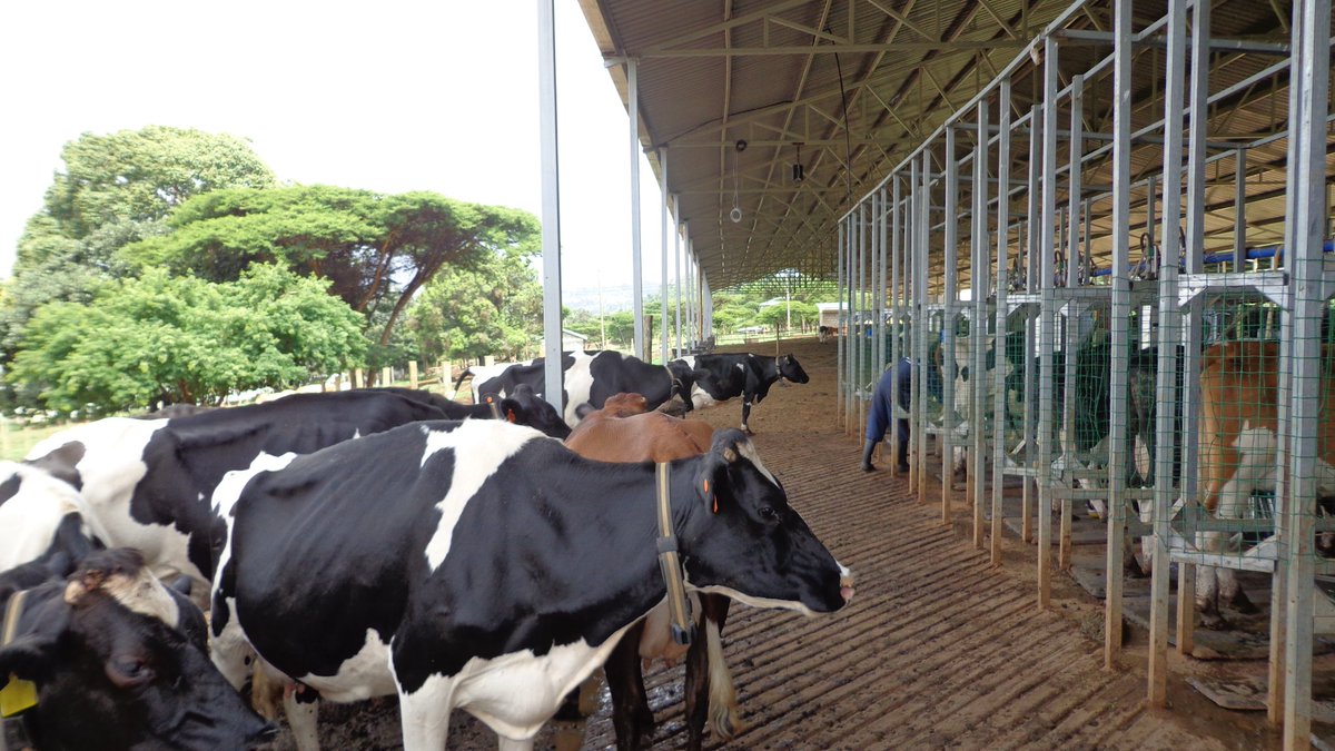 Mr. Agriculture 👩🌾 tweet media