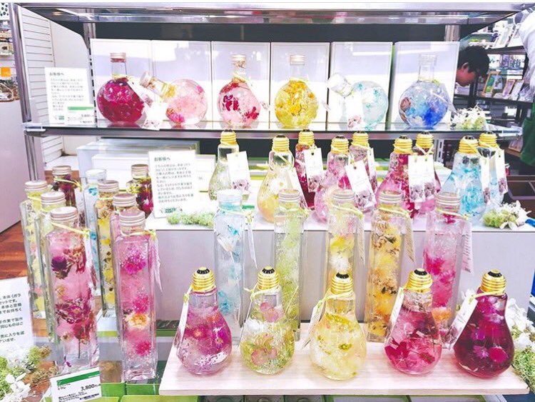 𝐅𝐋𝐎𝐖𝐄𝐑𝐢𝐔𝐌 Op Twitter 21日より新宿高島屋内 東急ハンズ5階にてフラワリウムをお取り扱い頂いております 詳しくはこちら T Co Utjyjjruf6