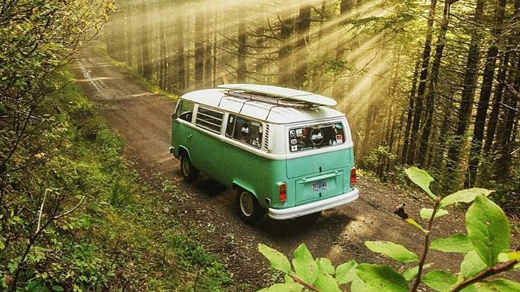 let's get lost in the woods ✨