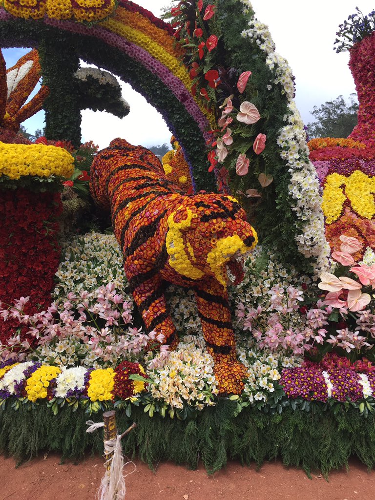 CoachAllanG's tweet photo. #ourFloat @MNTCexpressways @SCTEx_Travel #Panagbengga17 https://t.co/baL3QrDmNJ