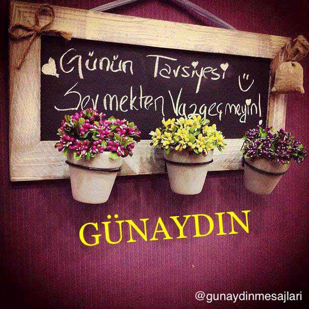 33Haticeata's tweet photo. https://t.co/JwhPwON3nh