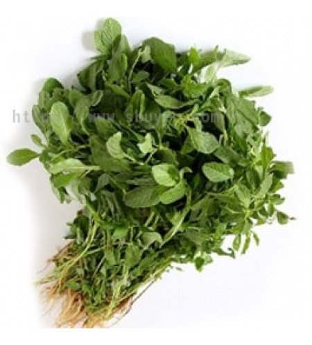 sbuyeronline's tweet photo. #SPINACHES @sbuyeronline
English: Amaranthus tricolor
Tamil: Arakkeerai
Hindi: Chauli/Chavleri Sag
Malayalam: Cheera
https://t.co/VxEk1HpQrz https://t.co/4G4iPYvNLc