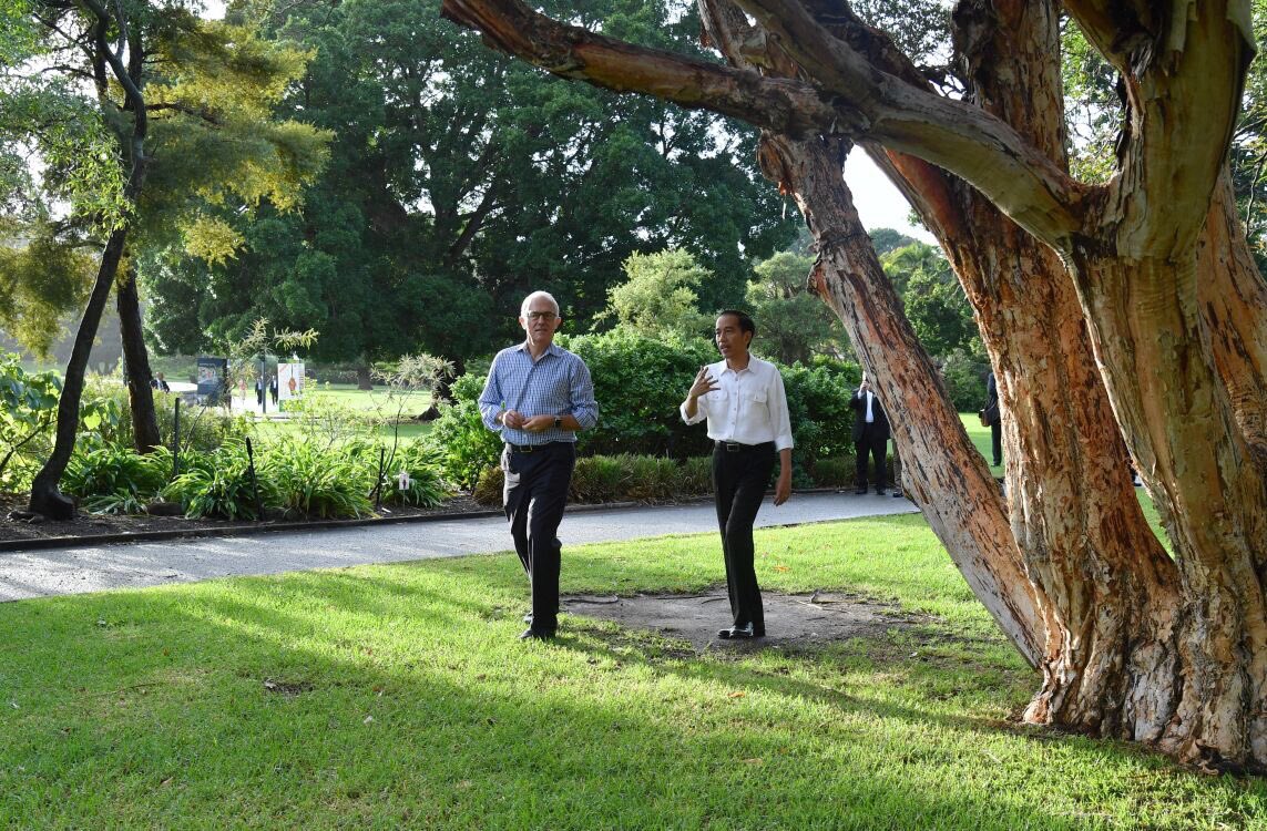 jokowi's tweet image. Tadi pagi, jalan dan menyapa warga Sydney bareng Perdana Menteri Malcolm Turnbull di Royal Botanic Garden Sydney -Jkw