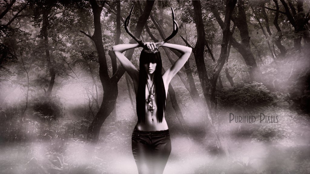 PurifiedPixels tweet picture