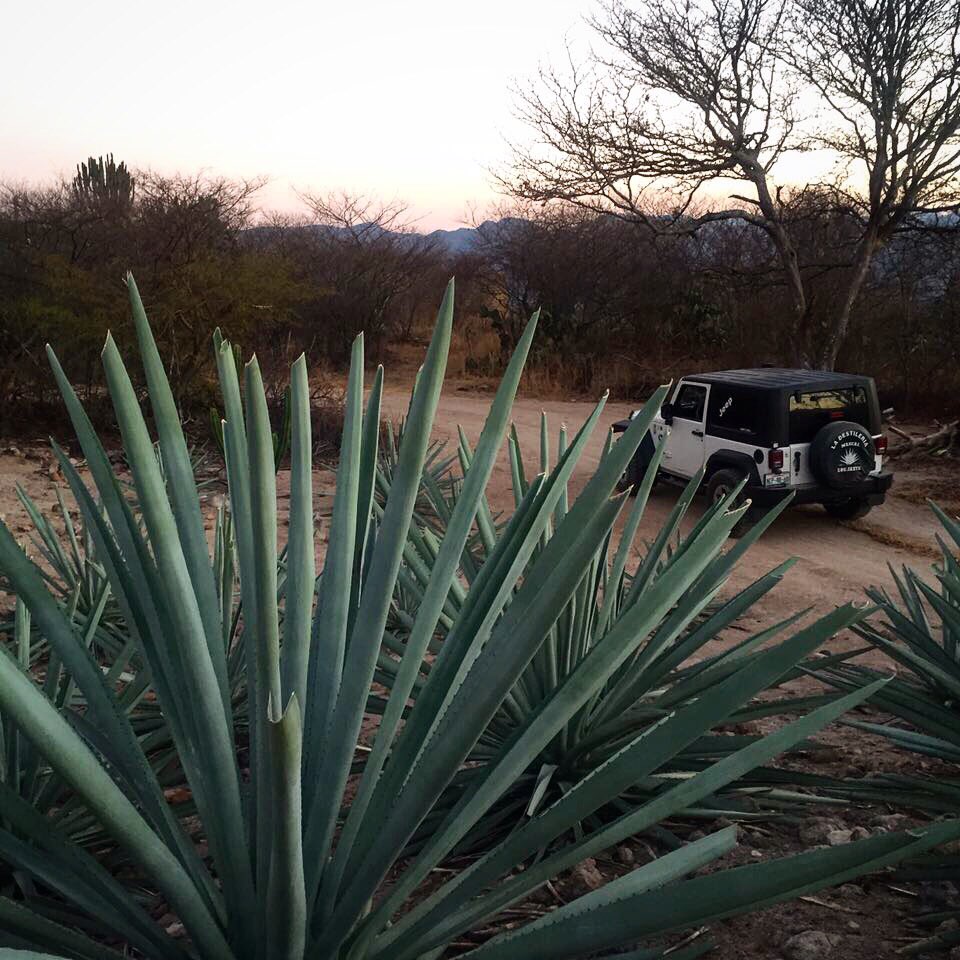 We're always ready for adventure. Are you? 🌄 #Vanguard #Mezcal #Adventure #Oaxaca #Mexico #Artisanal #Authentic #Tradition #Passion