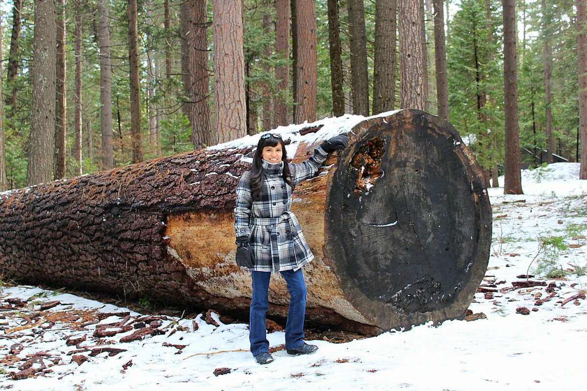 DebbieDebsH's tweet photo. Spent the day at Big Trees today! 🤣😍Nature. Cheaper than therapy. Lol #cawx #bigtreesstatepark #arnoldca #calaverascounty https://t.co/ZzLnyoQE6F
