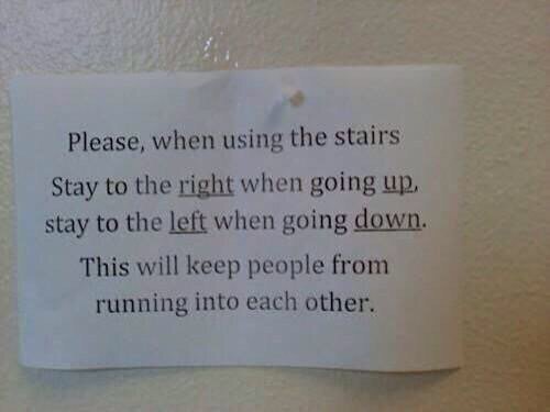 sunnysunwords's tweet photo. How to cause chaos using very clear instructions. https://t.co/vxmZqdwYUx
