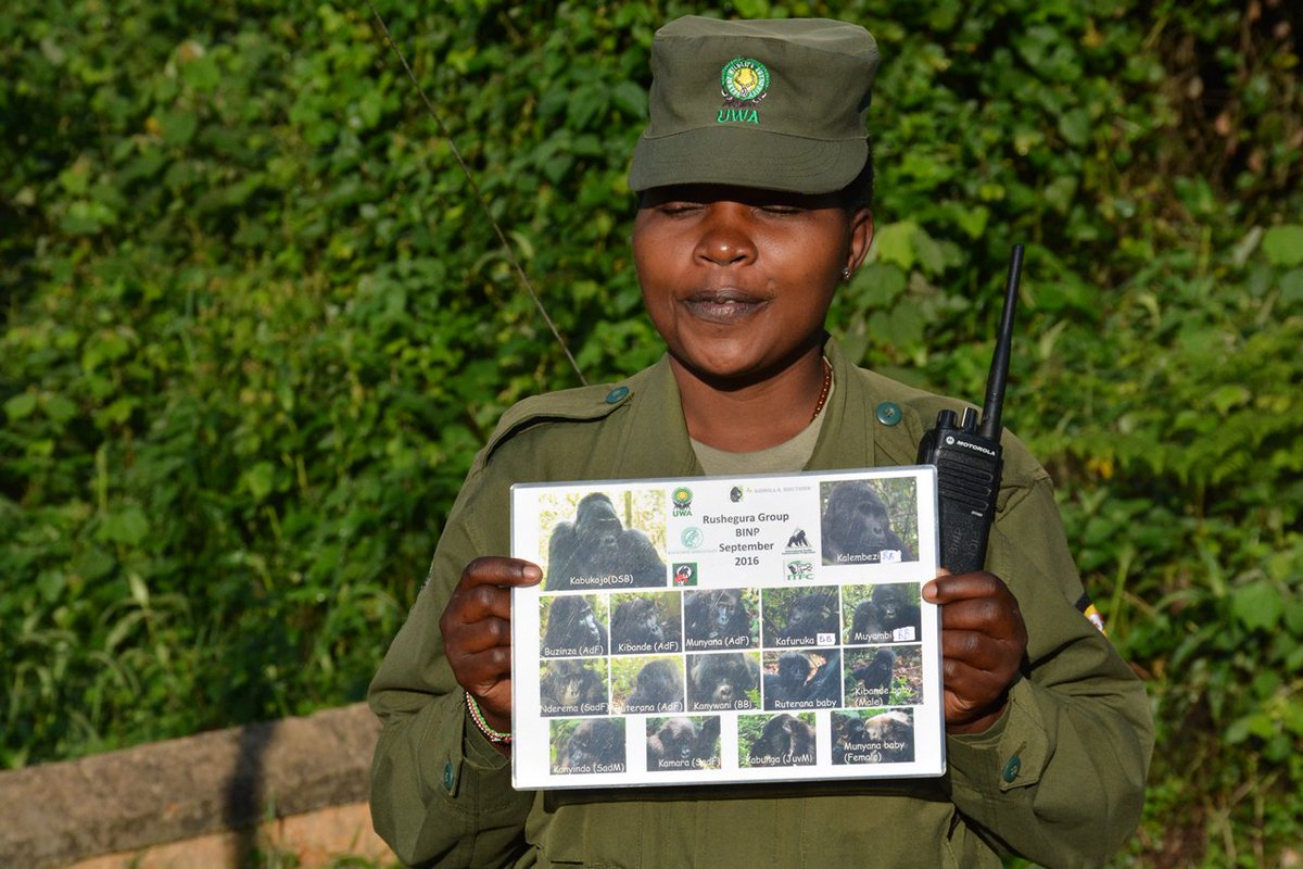 Take On The Pearl tweet media