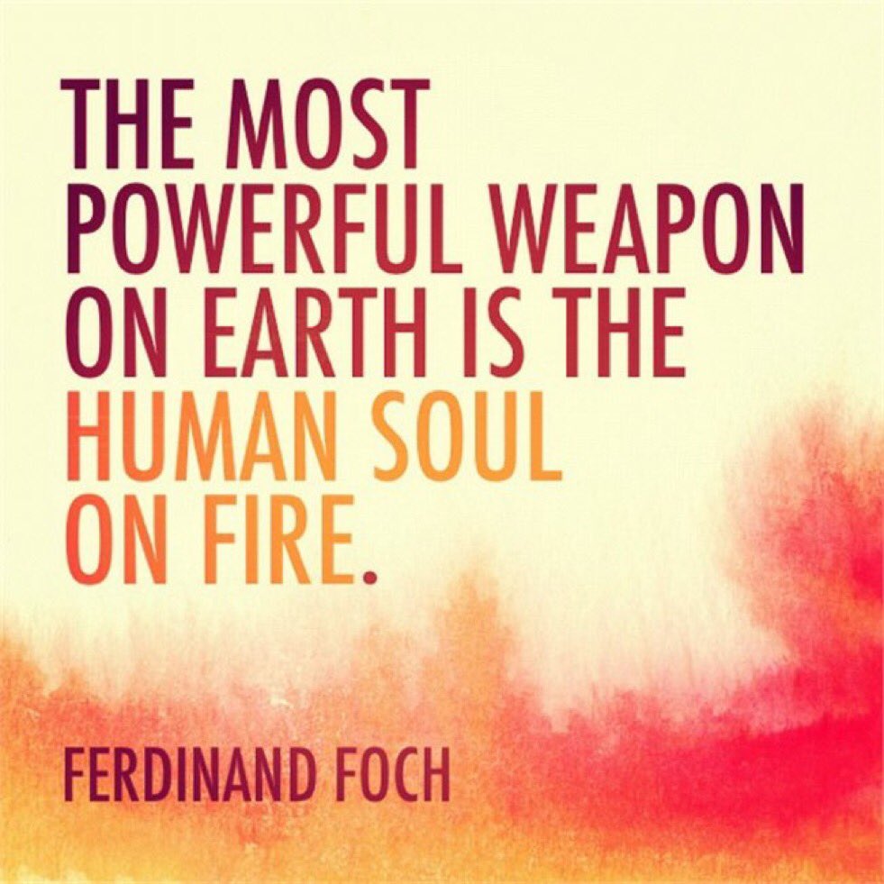 Actual1Murf's tweet image. @ScottHarvath @DanHealyFndn @redshoefoto @mostrolenk @FabMommy29 @frog129 @LZ_Grace @J_Bad13 - Passion cannot be taught or tamed.