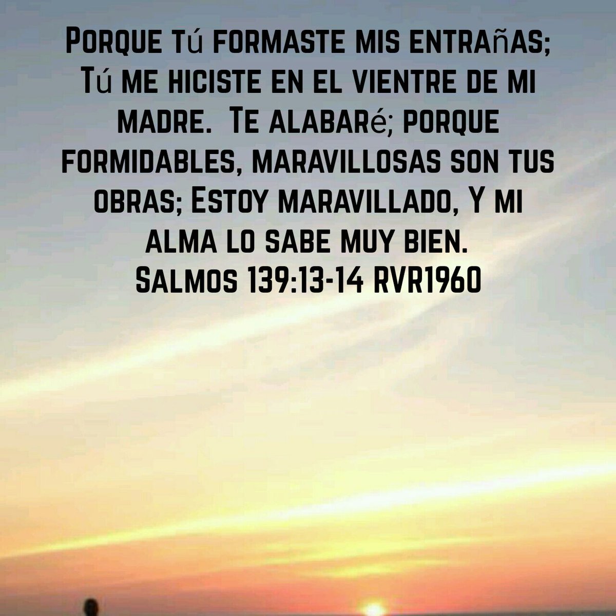 lalyChristian's tweet photo. Para ti ❤😇👏 https://t.co/N1csDnSkCF