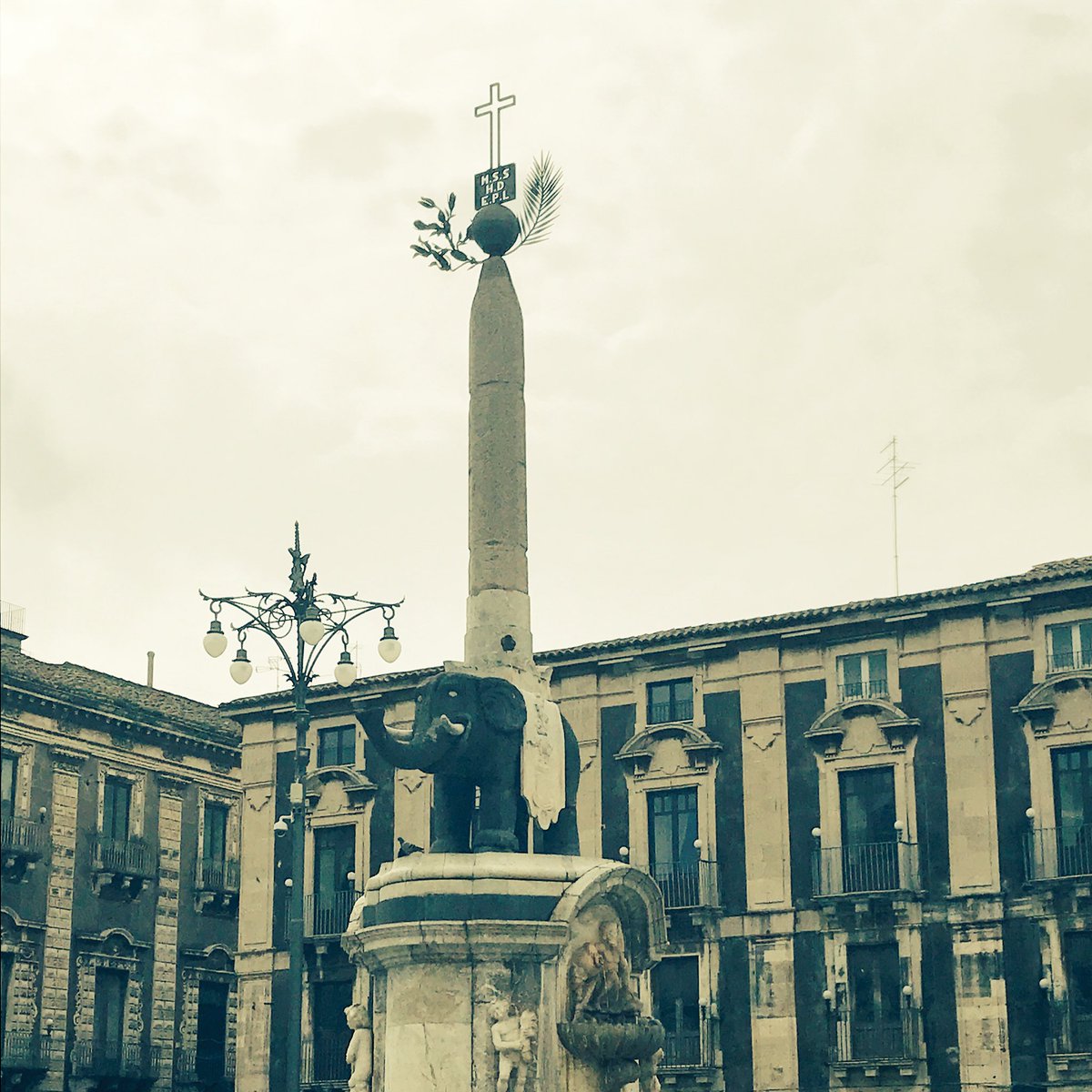 SementusaTech's tweet photo. Per le #pecore ci siamo già , per gli #elefanti ci stiamo attrezzando. #sementusa #sementusatech #wcap #innovazione #startup https://t.co/GoSCNtwFU0