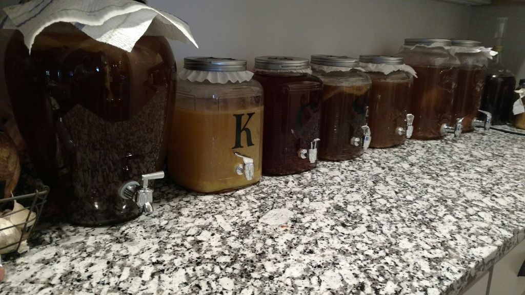 Bucha Brewing tweet media