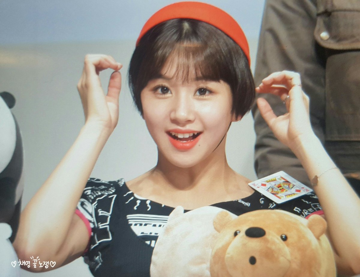honeychaeng's tweet photo. #트와이스 #TWICE #채영 #chaeyoung
170226 #상암팬싸 프리뷰

I'm like 치치
Just like 치치 https://t.co/dVBZ81m6Nx