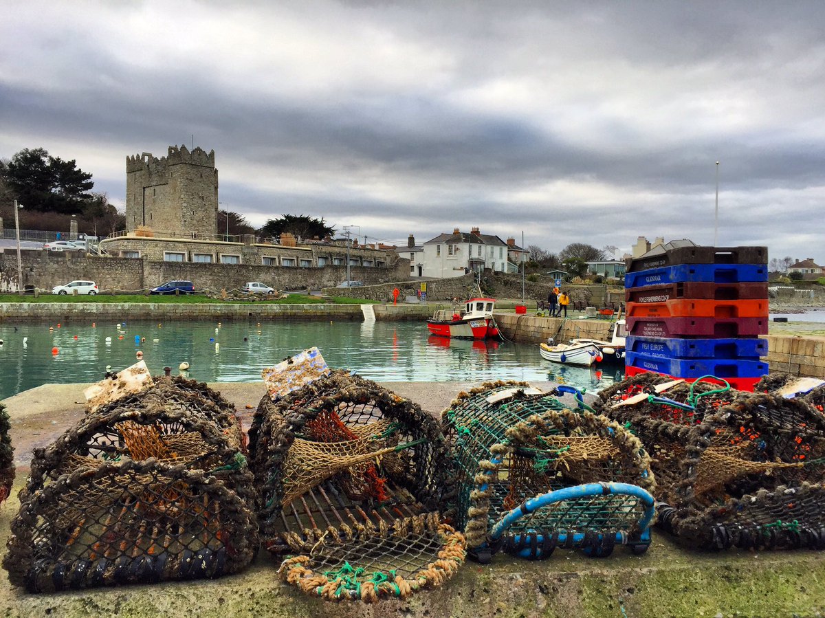 Around Dalkey tweet media