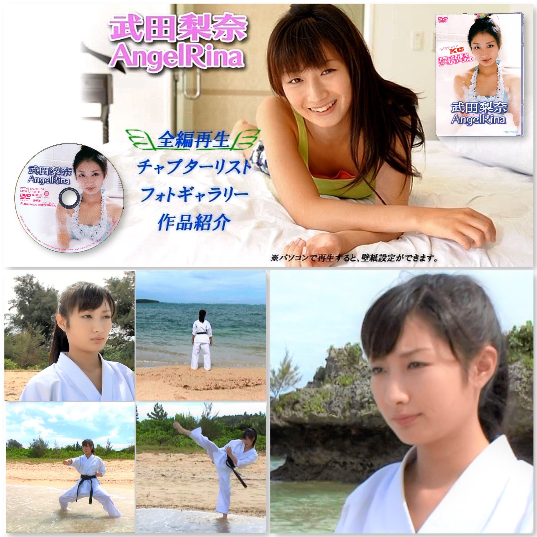 【 新品 未開封 】武田梨奈 / AngelRina 新品 未開封 】武田梨奈 / AngelRina