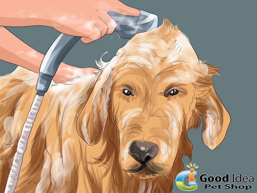 To take care of their. огород для детей. To take care of their. человек заботится о животных. родители и дети.