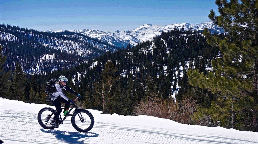 roywallack tweet media