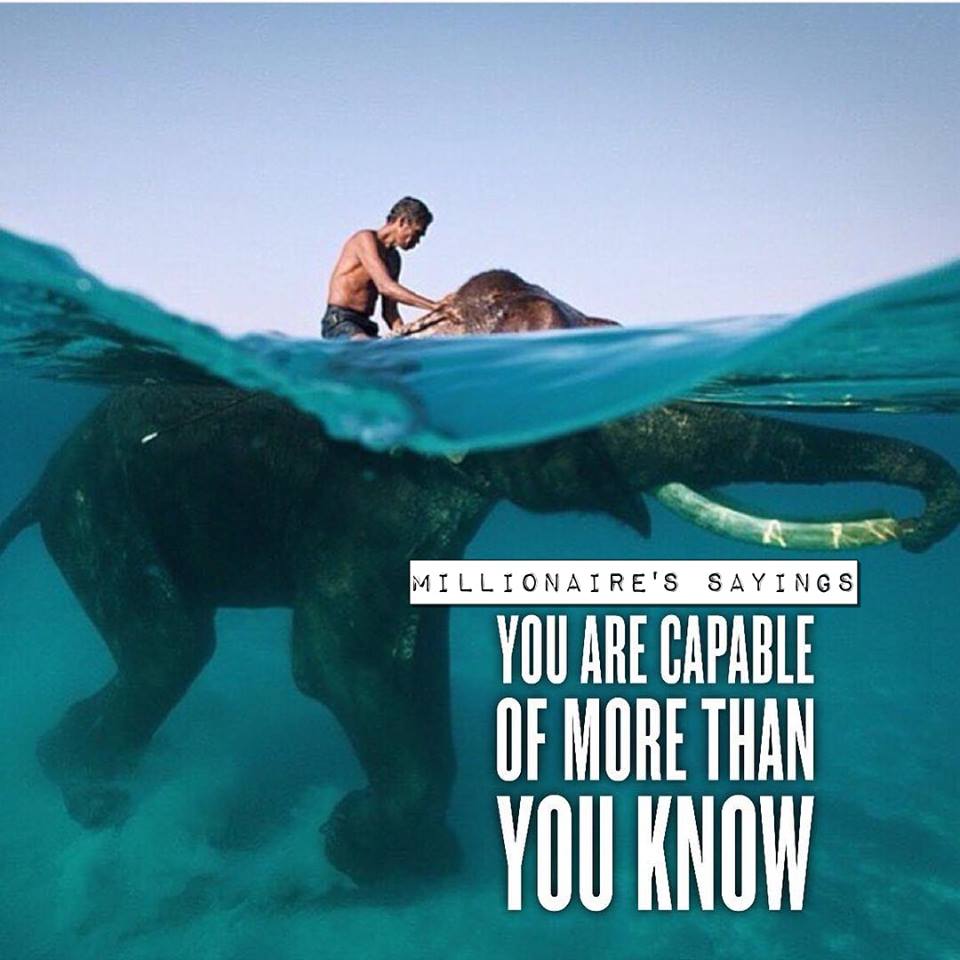 millionairesayi's tweet photo. https://t.co/ANYrB9PuFK