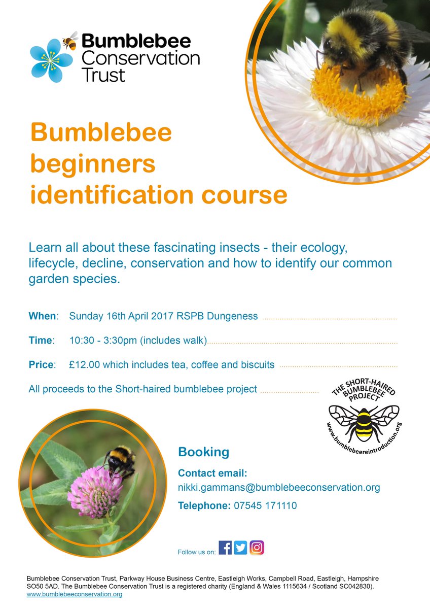 BumblebeeTrust's tweet photo. RT @nikkigammans: Learn about ID &amp; ecology #bumblebees - a couple of spaces left on both courses! @BuzzingLondon https://t.co/XtWLV4mHbE