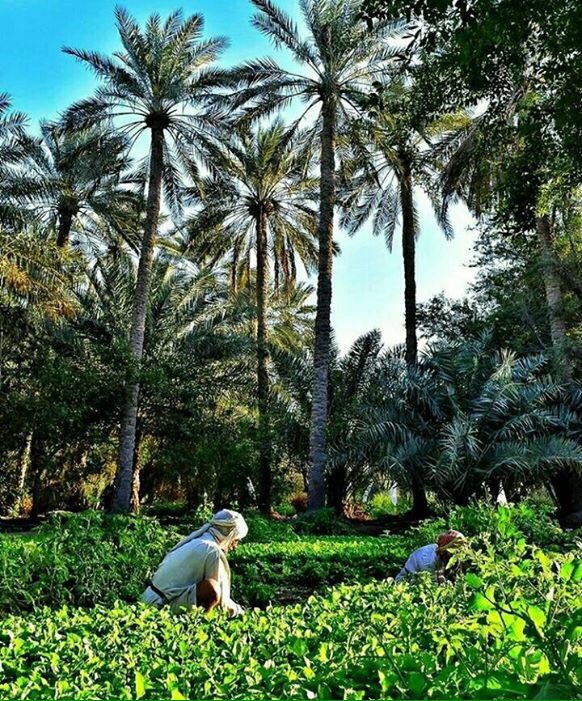 99_alshaheen's tweet photo. لنا حياة داخلنا ، تختلف تماماً عن الحياة التي يرانا فيها الأخرون ... https://t.co/sgvkw6C7MF