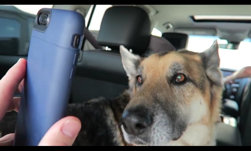 james_rakeeb's tweet image. #prayforzues @RomanAtwood