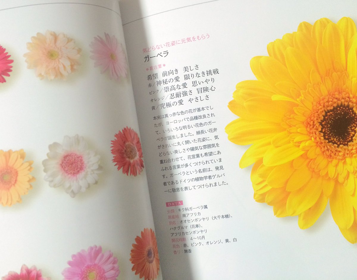 はな En Twitter この本とってもおすすめ 四季のお花の写真と花言葉に 花言葉の由来まで細かく書いてあるし見やすい 活け方 アレンジの仕方もおまけでついてる 私 花はあんまり詳しくないけどこの本見てるだけで楽しい わたしの好きなページはここです T Co