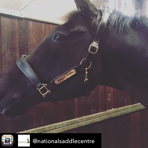 Fairfax Saddles (@fairfaxsaddles) on Twitter photo 