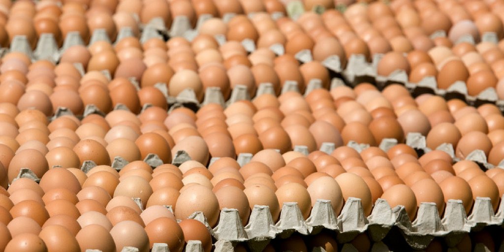 Still time to donate! Nearly #PancakeTuesday &amp; we’re on the hunt for more #eggs for <a href="/FareShareUK/">FareShare</a>  <a href="/rangermagazine/">Ranger Magazine</a> <a href="/NFUtweets/">National Farmers' Union</a> Can you help?