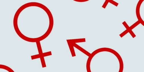 Moeschamara's tweet photo. These immune cells differ in males and females https://t.co/sQkHHBxh2k #immunology https://t.co/EV5gNQ37Dw