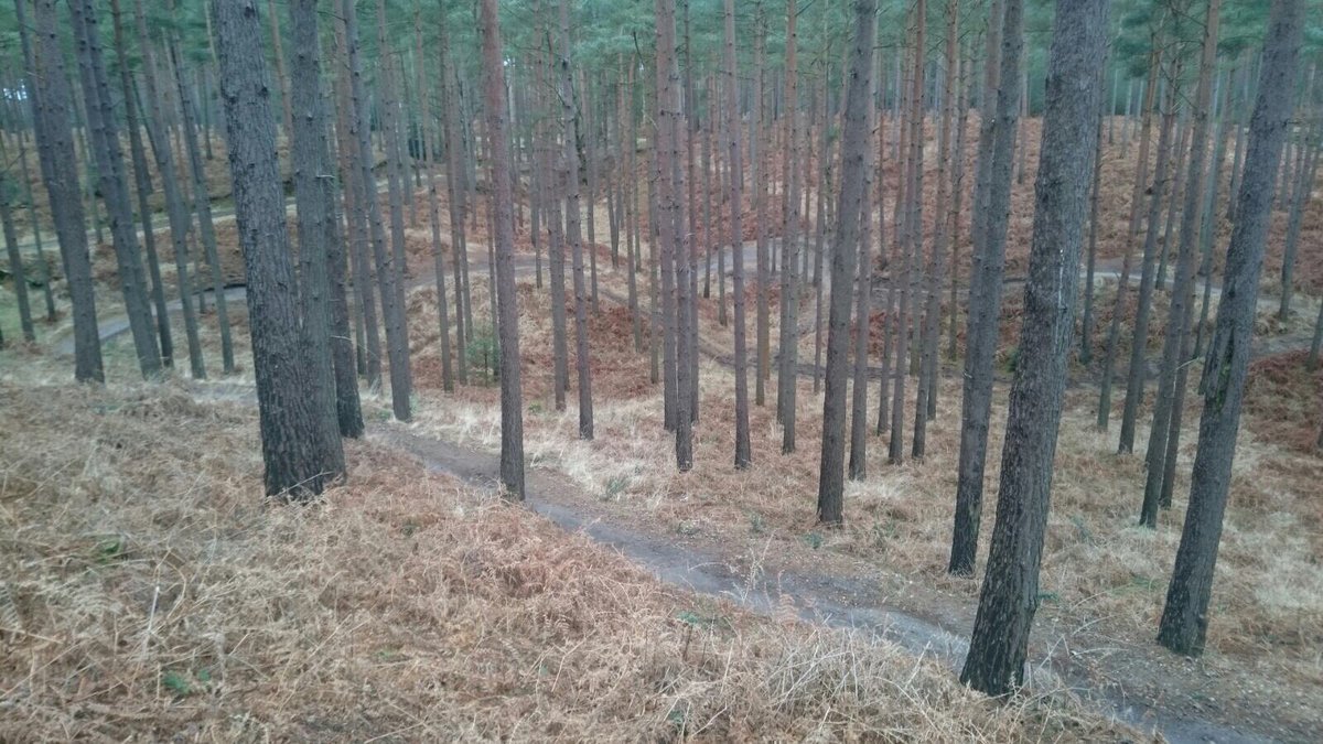 BirdieBikes's tweet photo. Sunday ride at #SwinleyForest. #Newbike #FirstMud @MeridaBikes @SwinleyRiders @SwinleyForestFC What a great bike! https://t.co/7Pq0ctLCnb