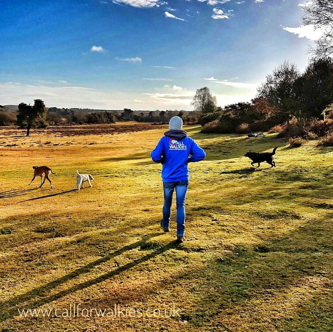 Call for Walkies tweet media