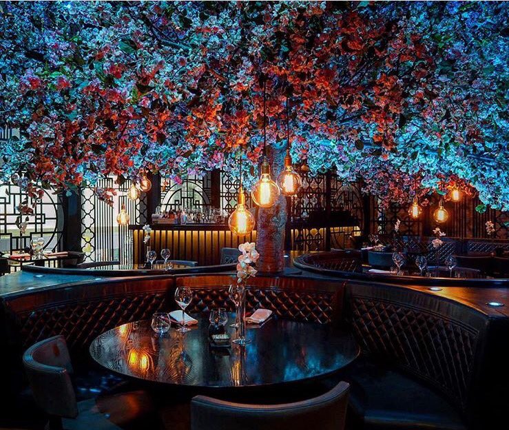 Tattu Restaurant tweet media