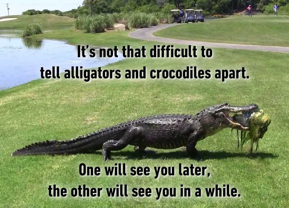 Language development in early childhood. Difficult to tell. Lack of resources. Tell your partner. Quotes about writing.