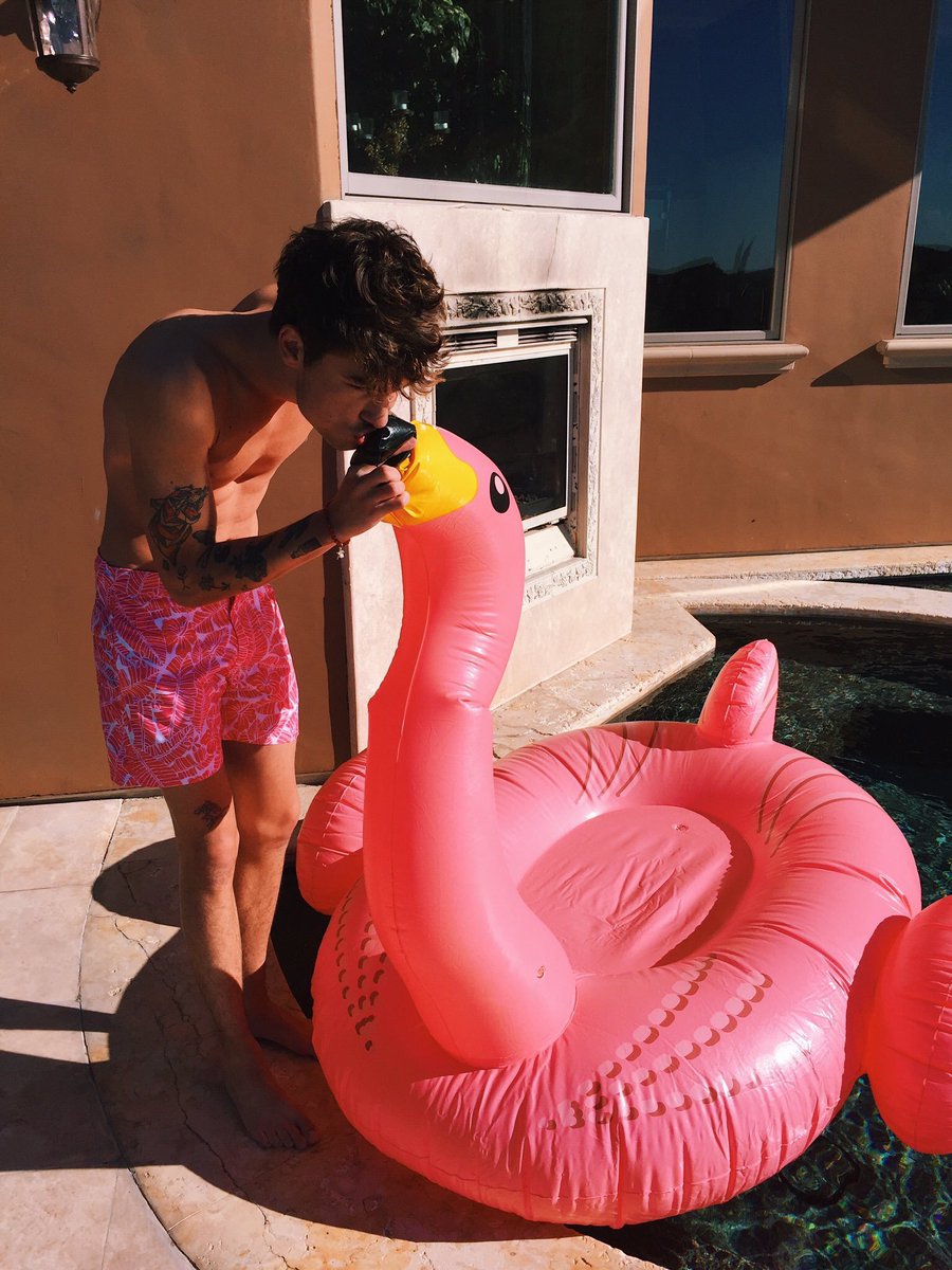samwilkinson_rp's tweet photo. Sometimes it's all you need. https://t.co/kGir5tkR6V